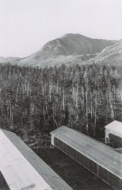 RC 2015.0.2.1 Bishop Interview Image Number 51